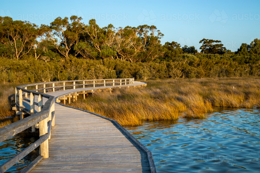 Wooden boardwalk and thrombolites at Lake Clifton - Australian Stock Image