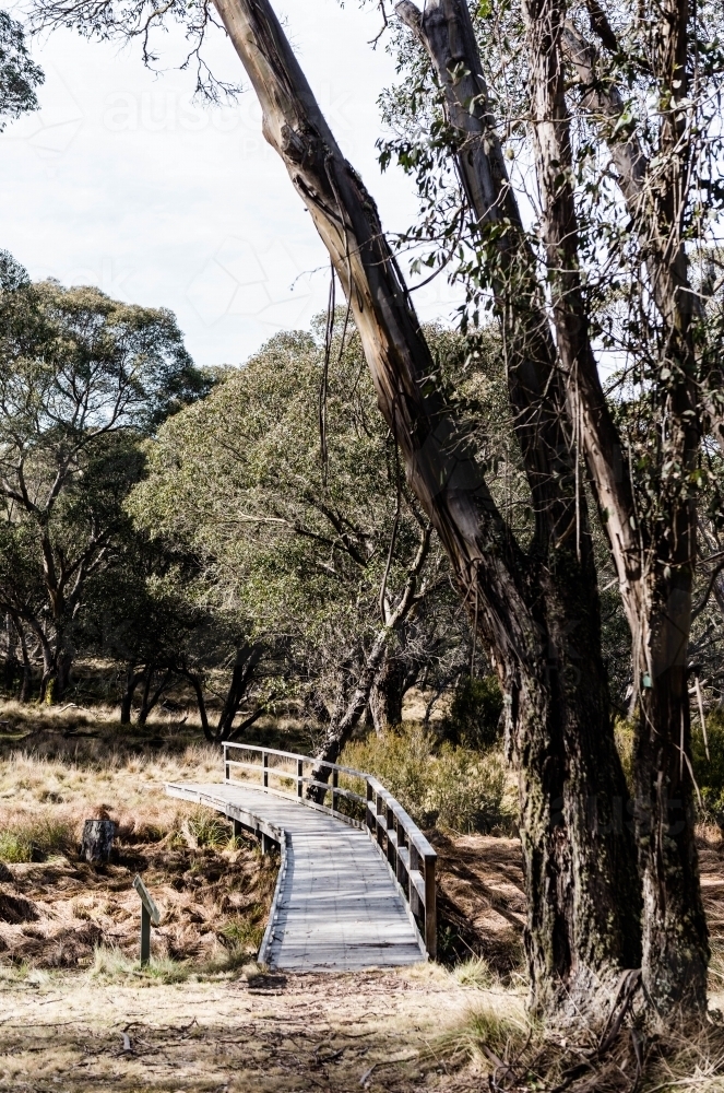 Wooden bridge across dried up creek bed in bush land - Australian Stock Image