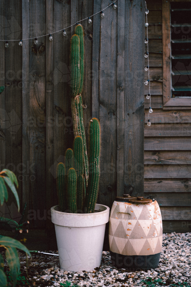 Wooden fence and shed with cactus and pots - Australian Stock Image