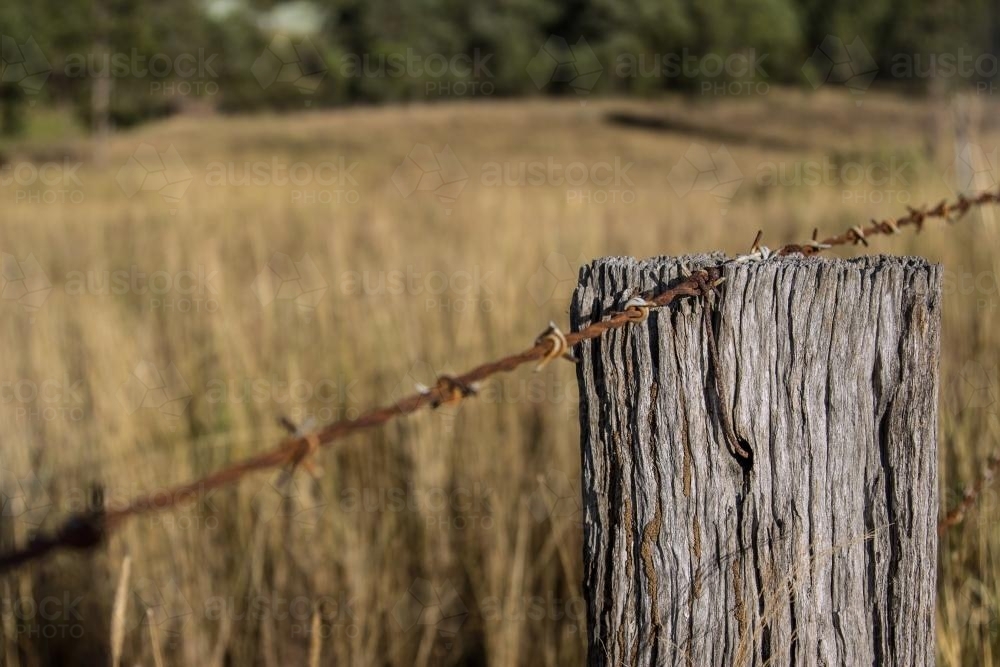 Wooden paddock fence post with barbed wire on top - Australian Stock Image