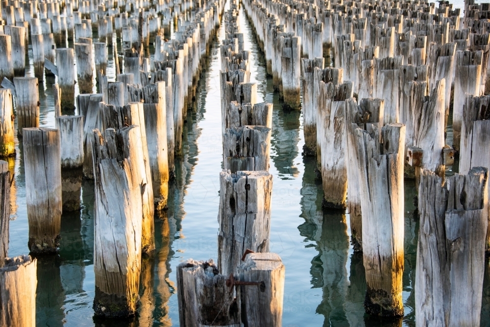 Wooden posts left behind in water at pier at Port Melbourne - Australian Stock Image