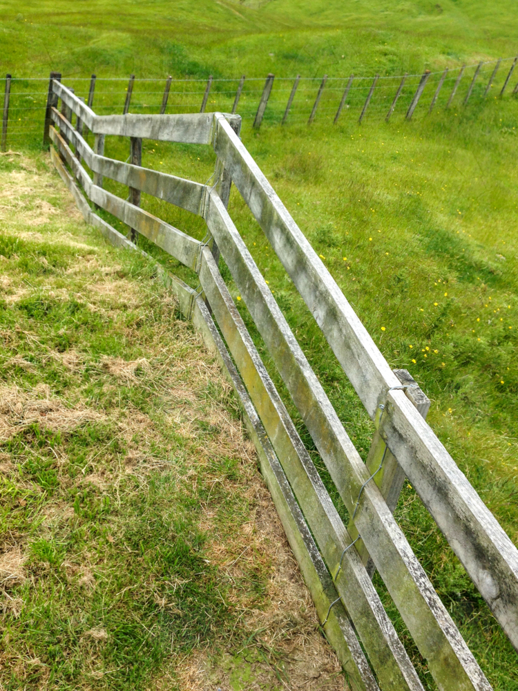 Image of Wooden rail fence and lush green grass on farm - Austockphoto