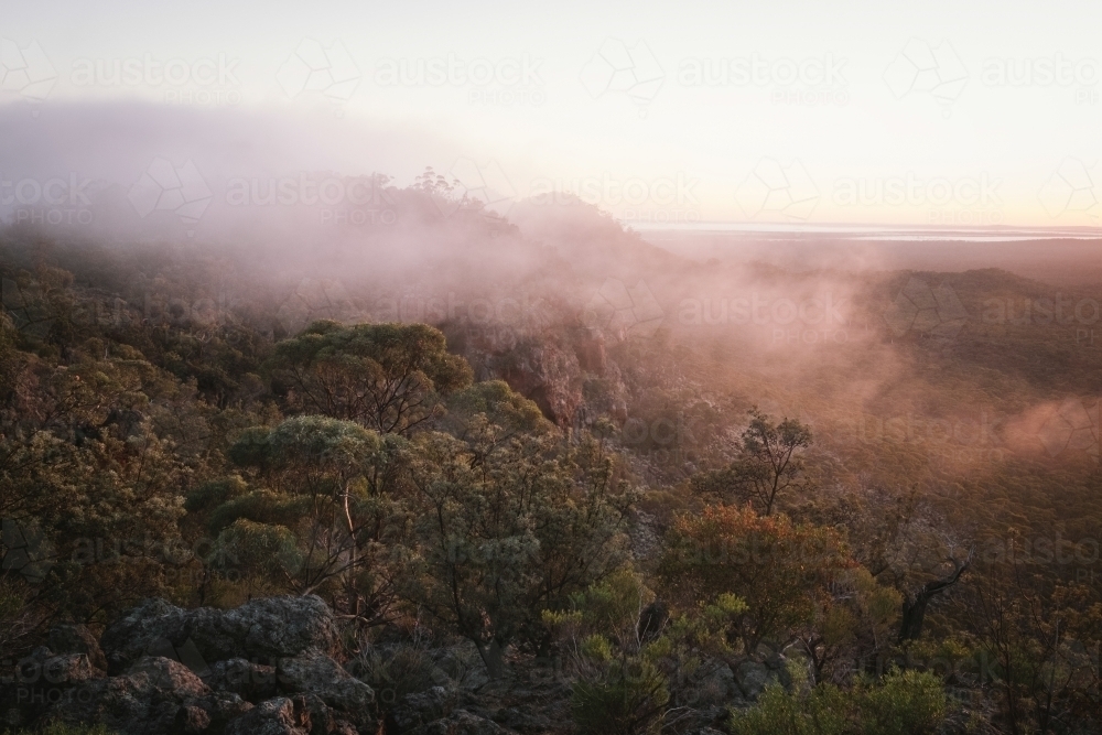 Woodland bush around Helena Aurora Range in outback Western Australia - Australian Stock Image