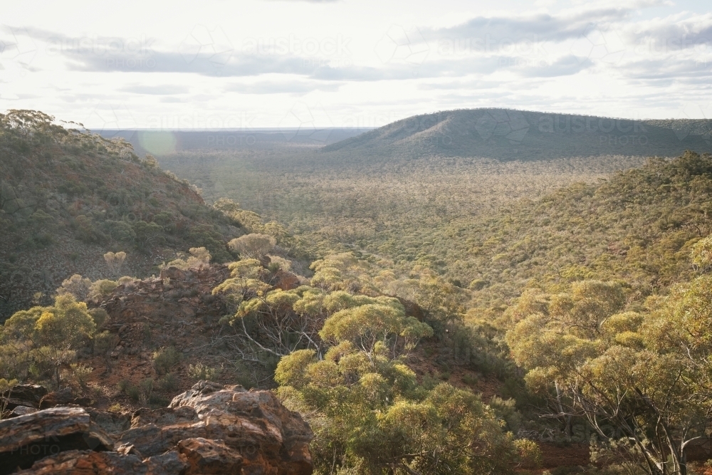 Woodland bush around Helena Aurora Range in outback Western Australia - Australian Stock Image