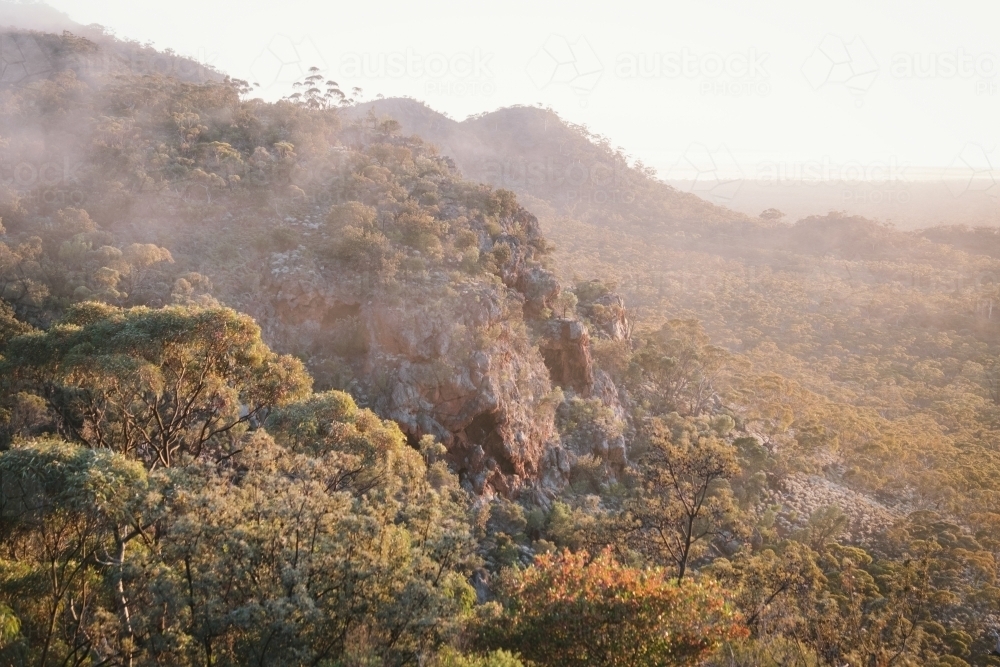 Woodland bush around Helena Aurora Range in outback Western Australia - Australian Stock Image