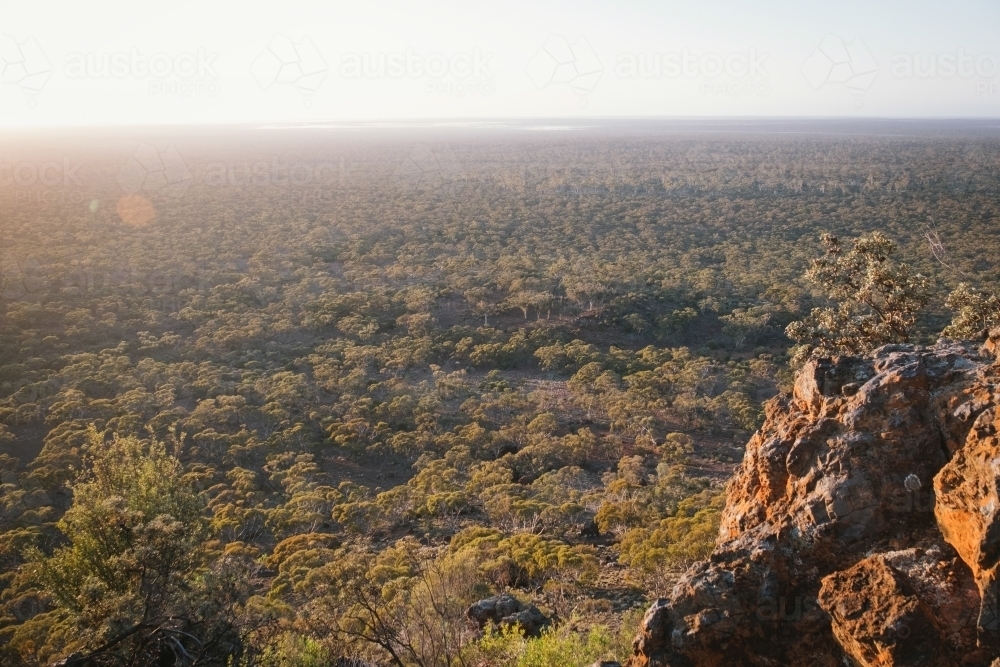 Woodland bush around Helena Aurora Range in outback Western Australia - Australian Stock Image