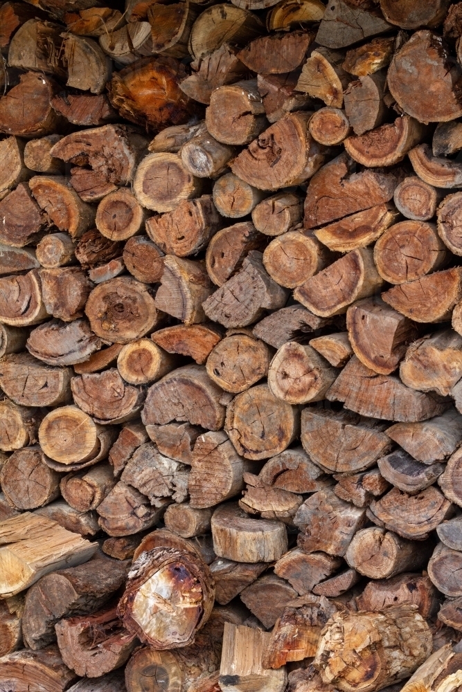 woodpile ready for burning - Australian Stock Image