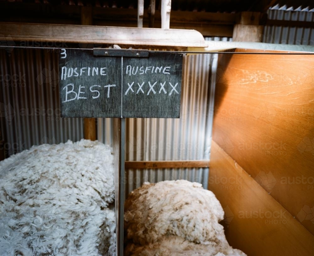 Wool classing detail in a shearing shed - Australian Stock Image