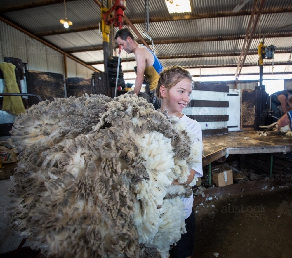 Image of Wool handler carrying fleece in shearing shed Austockphoto
