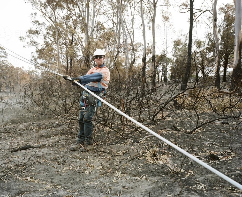 Workmen repairing power lines in bushfire ravaged landscape : Austockphoto Workmen repairing power lines in bushfire ravaged landscape - Australian Stock Image