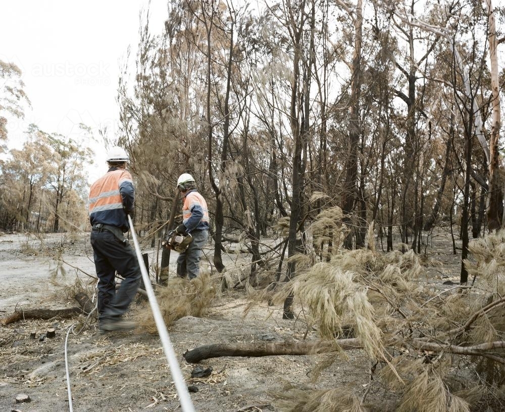 Workmen repairing power lines in bushfire ravaged landscape - Australian Stock Image