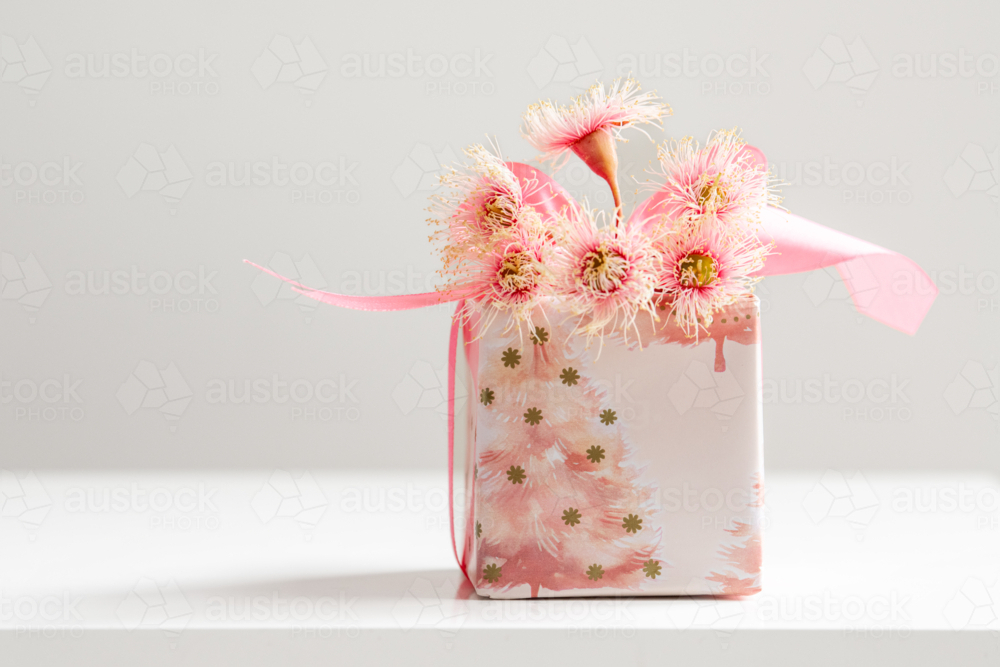 wrapped xmas present with pink Australian theme - Australian Stock Image