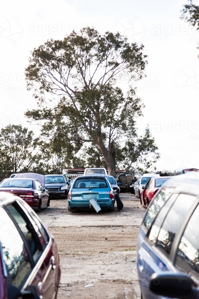 Wrecked and smashed cars parked in car wreckers junkyard - Australian Stock Image