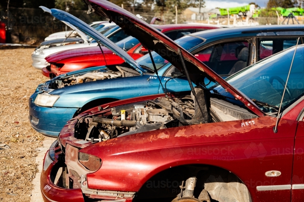 Image of Wrecked and smashed cars parked in car wreckers junkyard