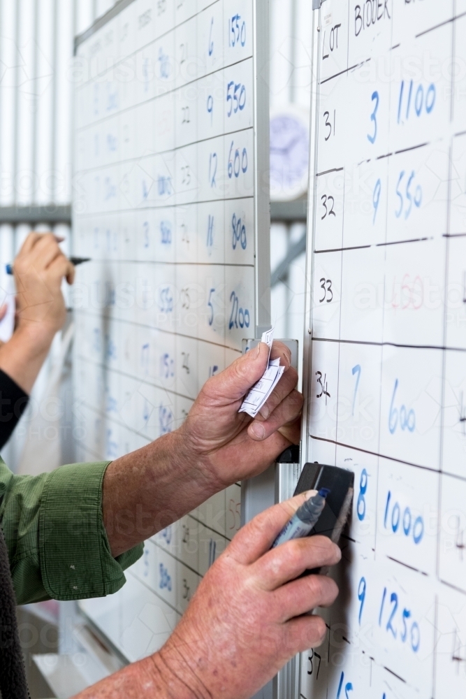 Writing and erasing on a whiteboard - Australian Stock Image