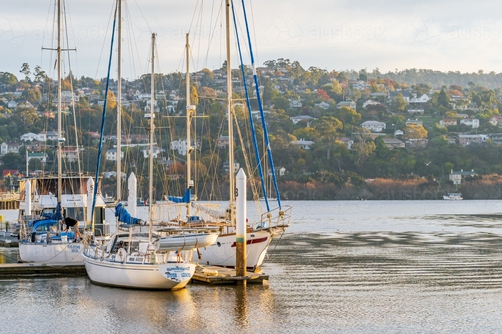 Yachts docked at a jetty on a calm river in late afternoon sunshine - Australian Stock Image