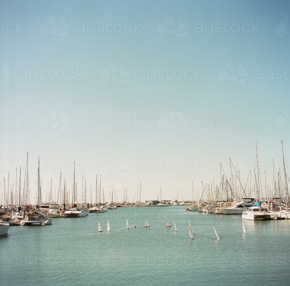 Yachts in the Harbour - Australian Stock Image