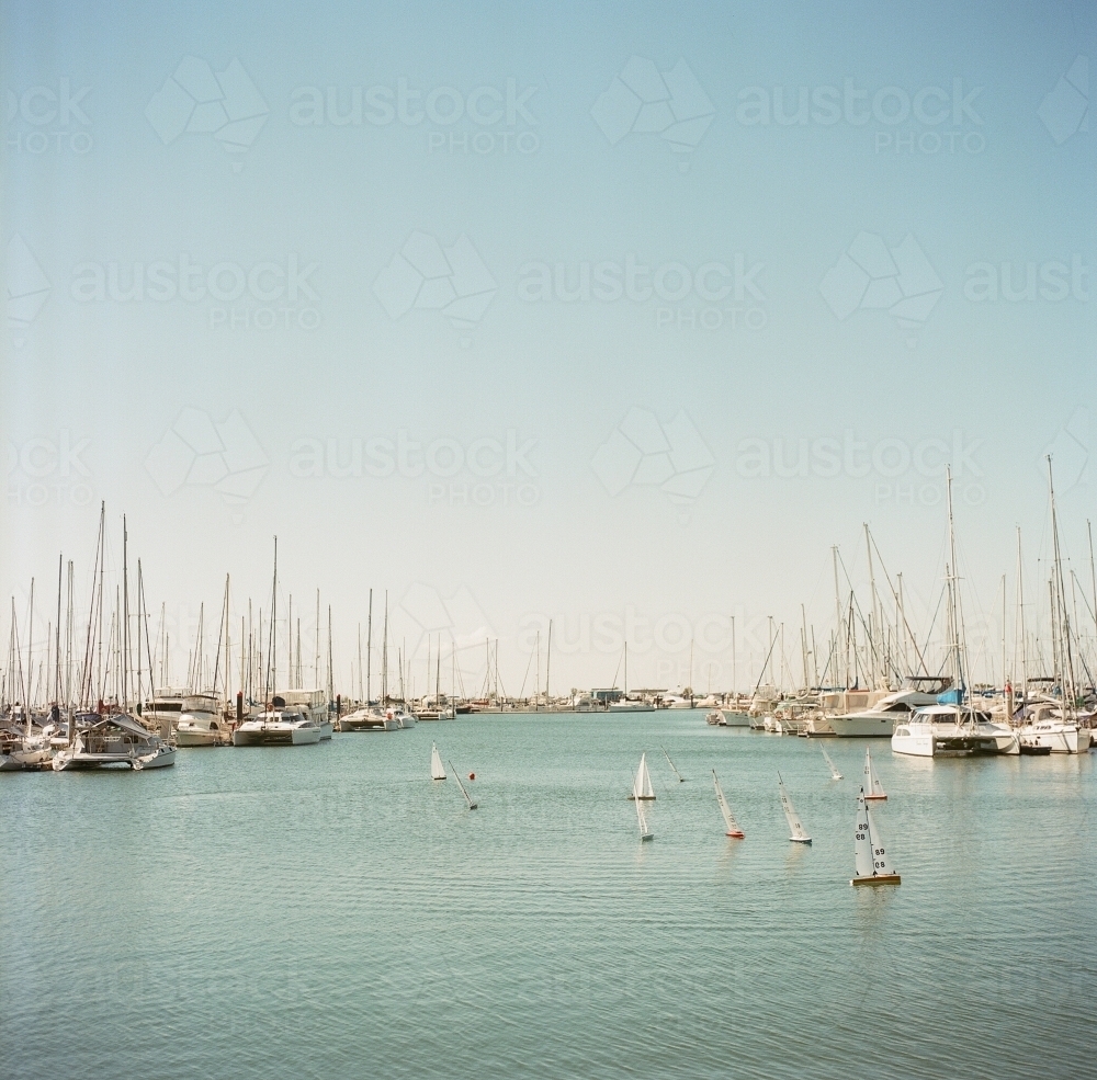 Yachts in the Harbour - Australian Stock Image