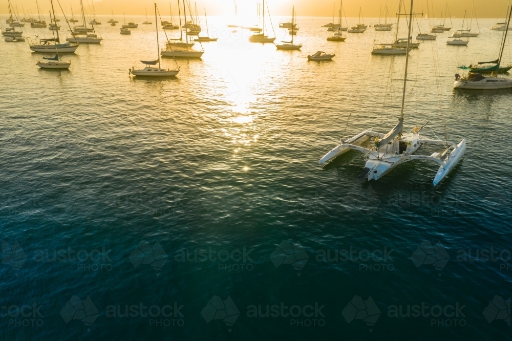 yachts on harbour - Australian Stock Image