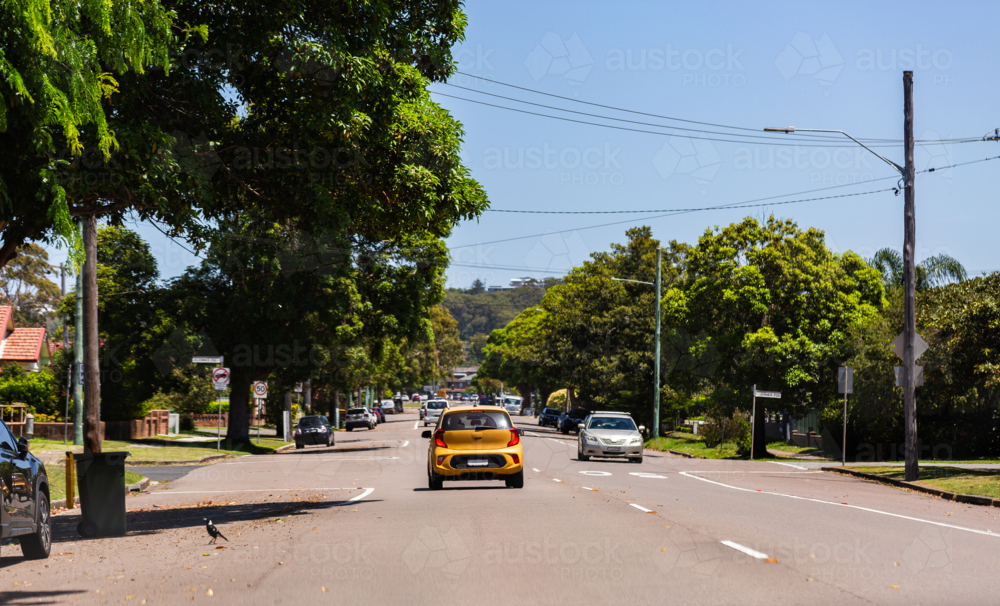 yellow car on road in suburbia with magpie and bin on roadside in Australia - Australian Stock Image