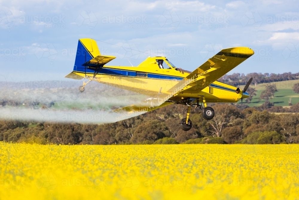 Image of yellow plane used for crop dusting applying fungicide to a