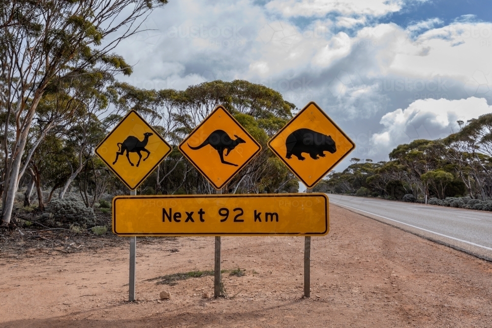 Yellow road sign warning motorists about camels, kangaroos & wallabies being around for next 92km - Australian Stock Image