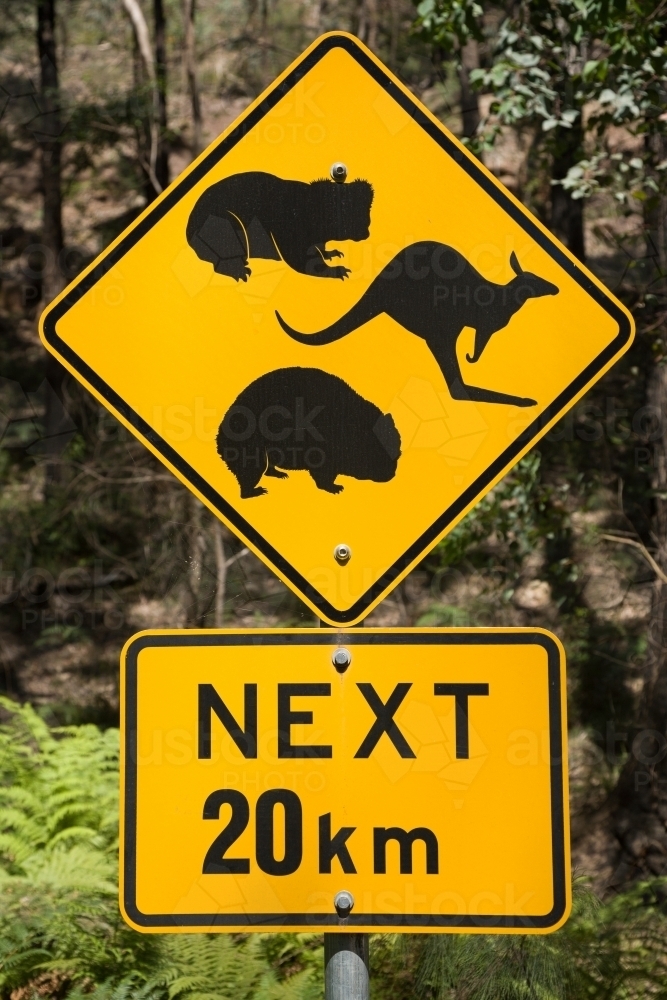 Yellow road sign warning of native animals next 20 km - Australian Stock Image