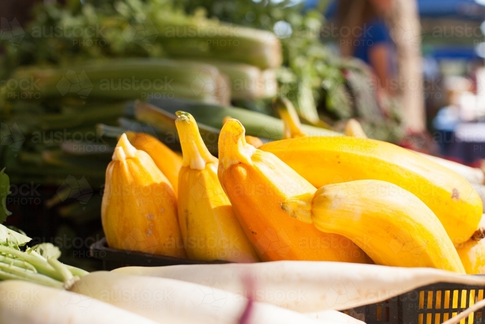 Yellow squash at local farmers market - Australian Stock Image