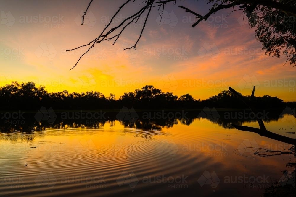 Yellow sunset and silhouettes of trees reflected in a billabong - Australian Stock Image