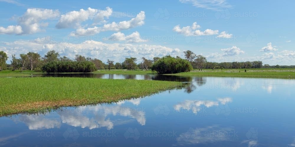 Yellow Water Billabong, Kakadu National Park - Australian Stock Image