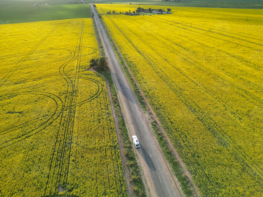 Yorke Peninsula canola paddocks and road from drone - Australian Stock Image