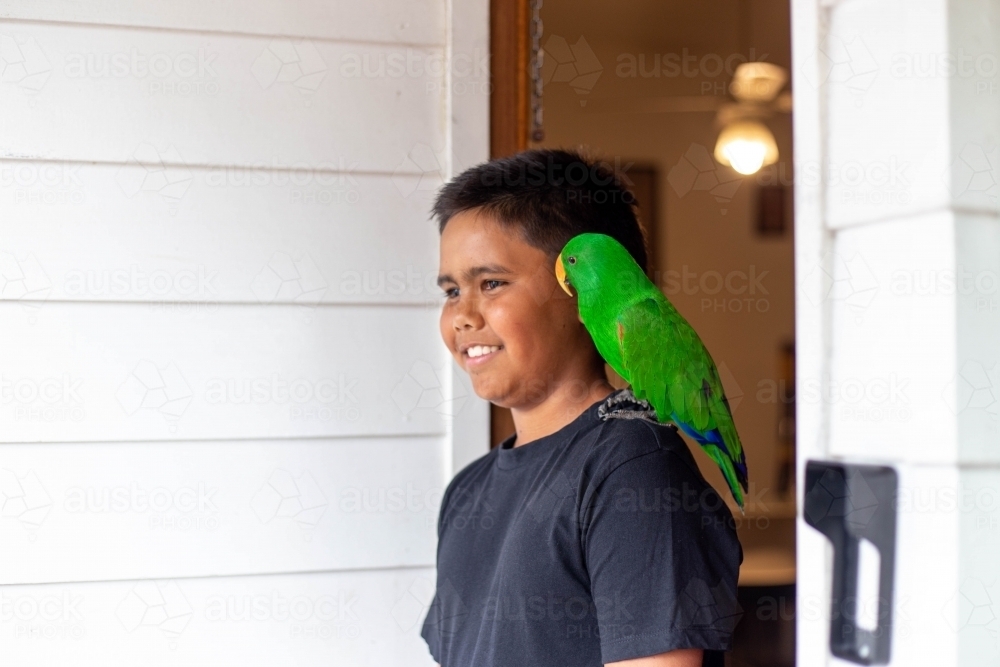 Young Aboriginal boy with pet bird on shoulder - Australian Stock Image