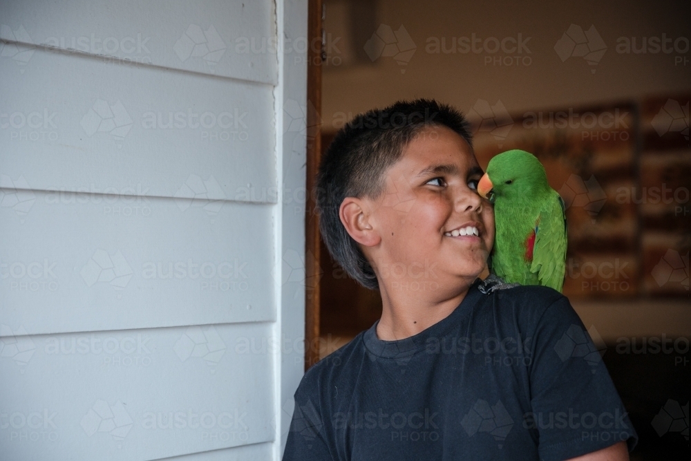 Young Aboriginal boy with pet eclectus parrot - Australian Stock Image