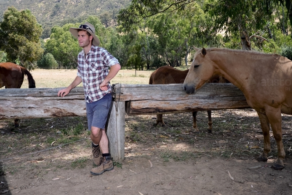 Young Adult Farmer Leaning on Fence - Australian Stock Image