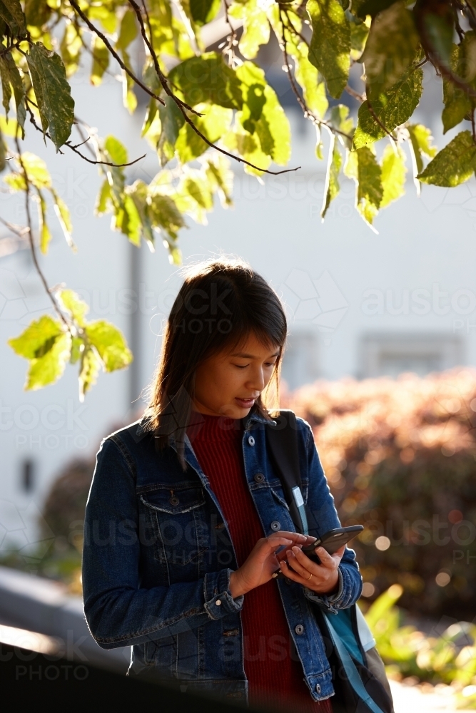 Young Asian female checking mobile phone under tree - Australian Stock Image