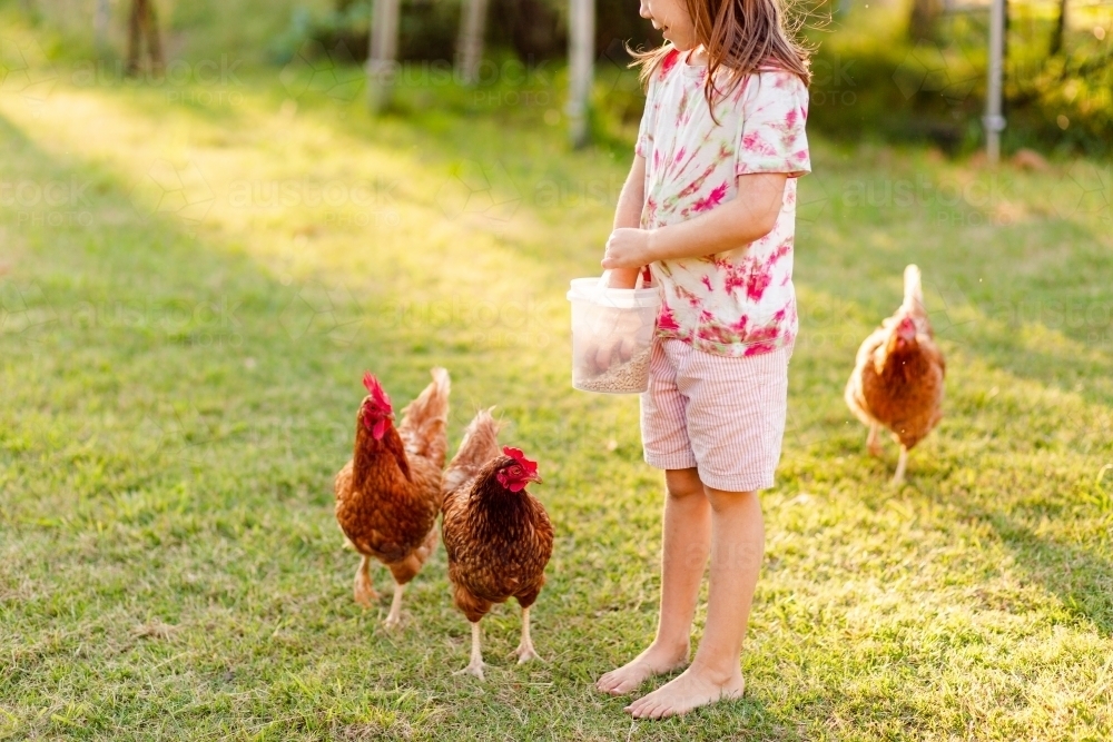 Young Australian farm kid feeding chooks in backyard - Australian Stock Image