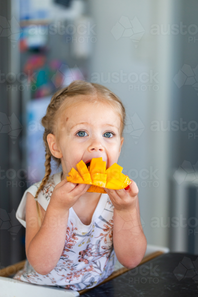 Young Australian toddler child eating fresh mango fruit in kitchen at home during summer - Australian Stock Image