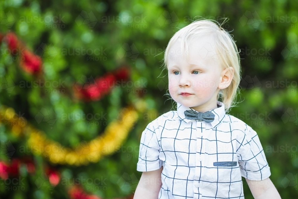 Young blonde caucasian boy with Christmas tinsel on tree - Australian Stock Image