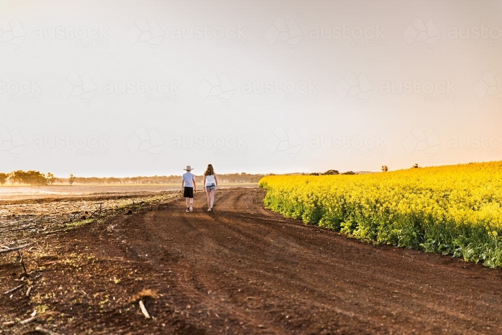 Young boy and girl walking on dirt road on farm next to canola field at sunset - Australian Stock Image