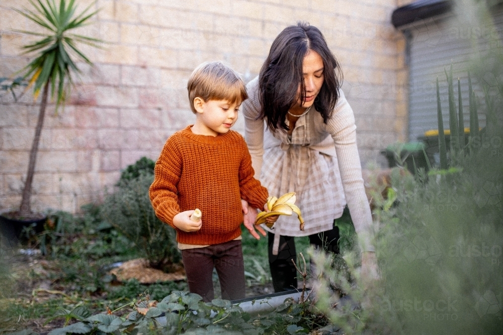 Young boy and mother working in backyard garden together - Australian Stock Image
