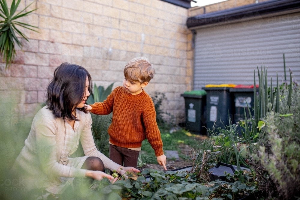 Young boy and mother working in backyard garden together - Australian Stock Image