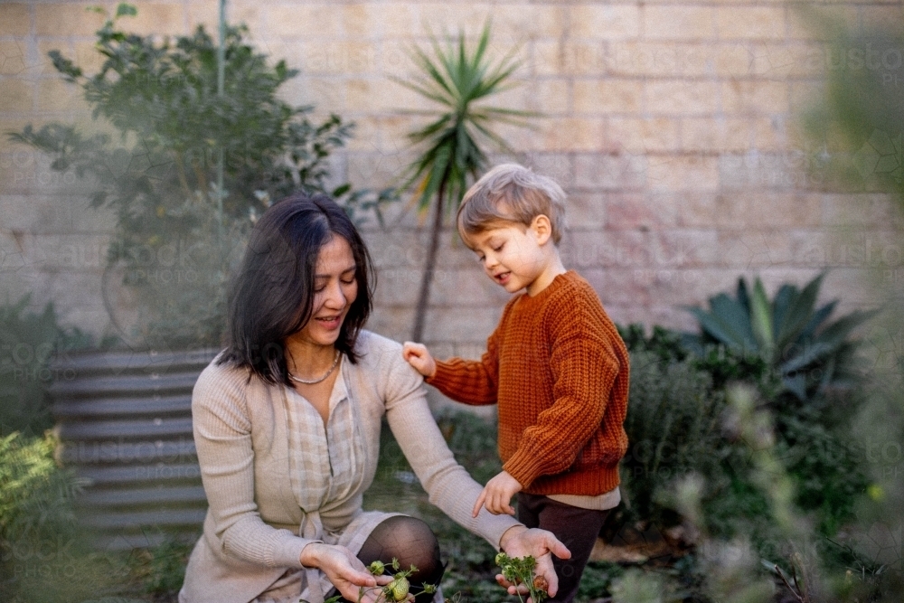Young boy and mother working in backyard garden together - Australian Stock Image