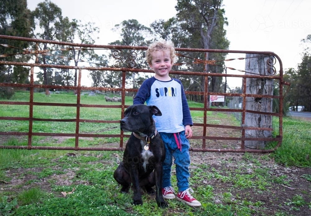 Young boy and Staffordshire dog standing in front of vintage farm gate - Australian Stock Image