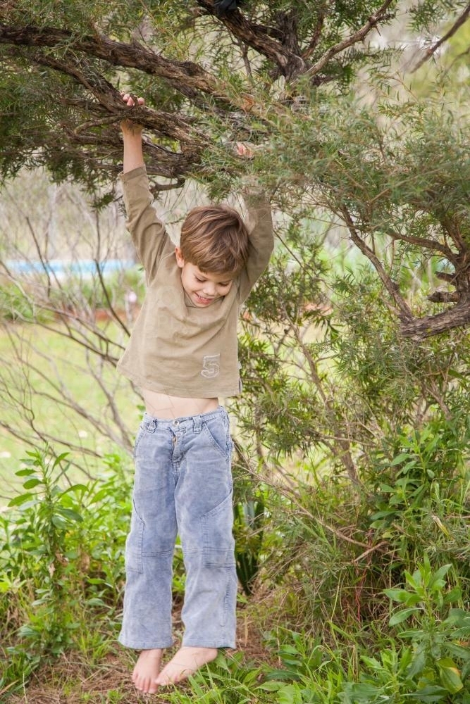 Young boy climbing a paperbark tree in the backyard - Australian Stock Image