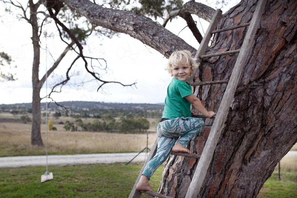Young boy climbing a wooden ladder up a tree in a country backyard - Australian Stock Image