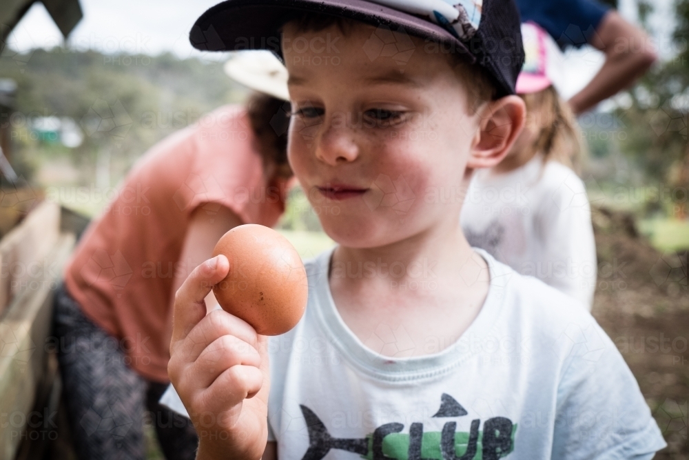 Young boy collecting farm fresh chicken eggs from pen - Australian Stock Image