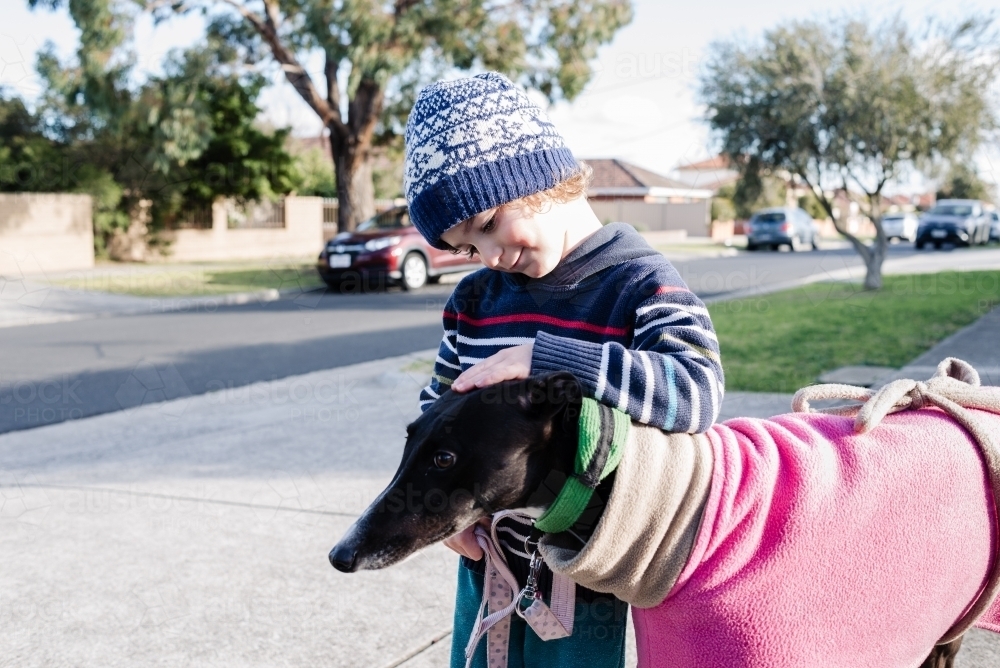 Young boy gives his greyhound dog an affectionate pat on a walk together in their neighbourhood - Australian Stock Image
