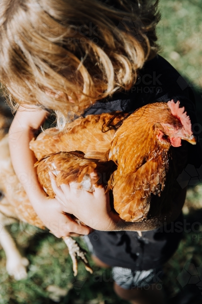 Young boy holding chicken - Australian Stock Image