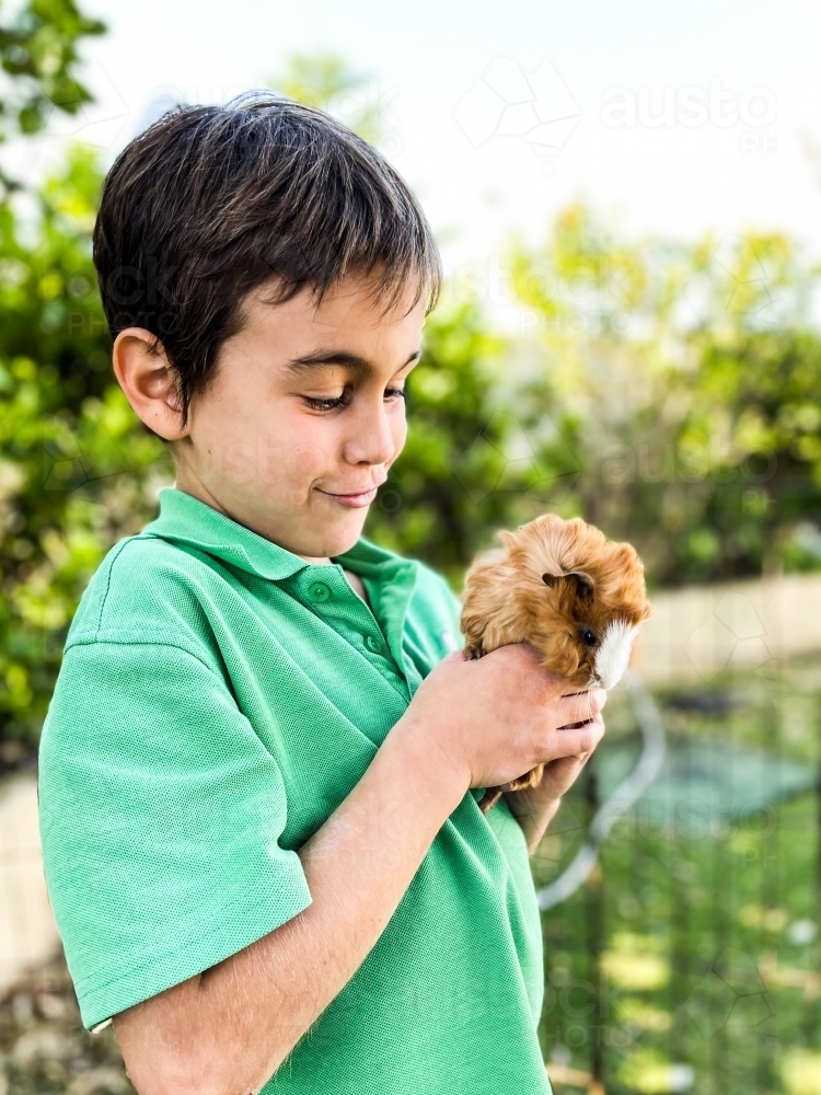 Young boy holding guinea pig affectionately - Australian Stock Image