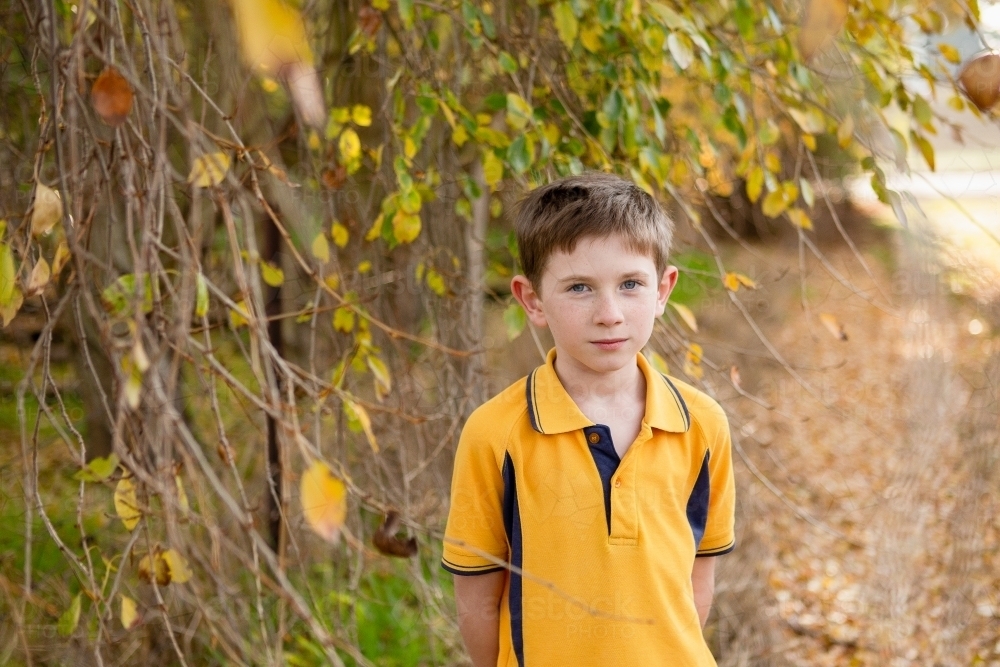 Young boy in school uniform amongst yellow leaves - Australian Stock Image